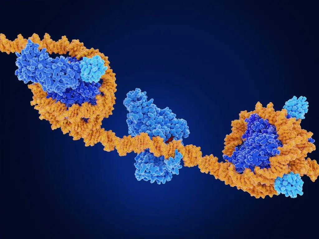 closeup of genes illustration